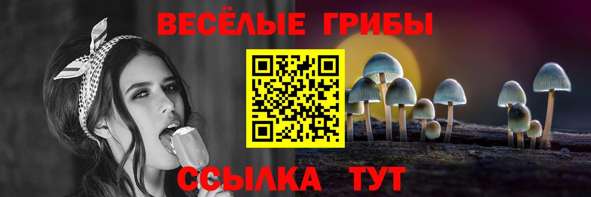 Галлюциногенные грибы Magic Shrooms Заволжье