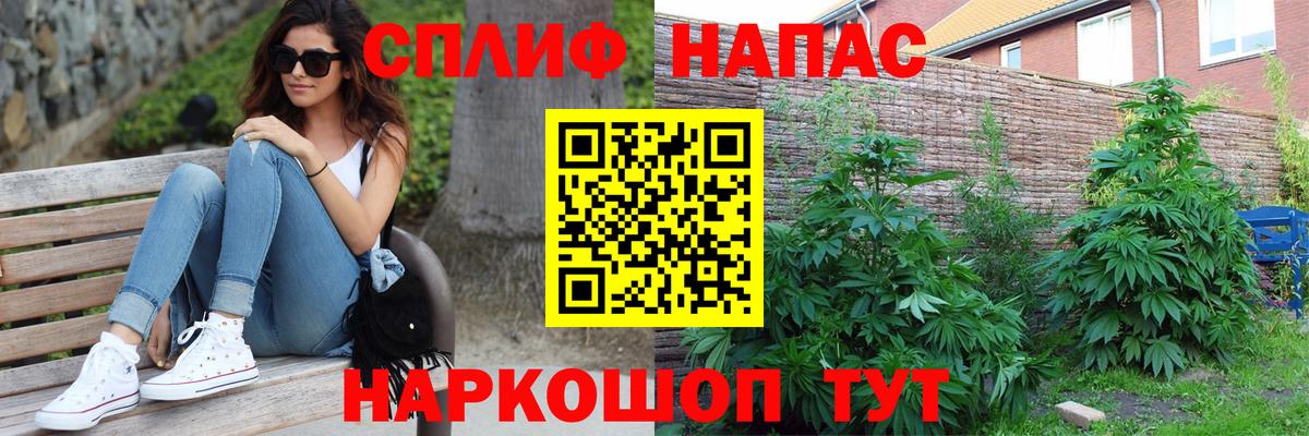 Канабис гибрид Заволжье